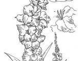 Drawing Of Gladiolus Flower 17 Best Gladiolus Tattoo Black Images Gladiolus Flower Tattoos