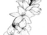 Drawing Of Gladiolus Flower 48 Best Gladiolus Tattoo Images Cute Tattoos Gladiolus Flower