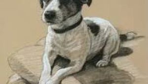 Drawing Of Jack Russell Dog Image Result for Jack Russell Dog Tattoos Art Pinterest Dog