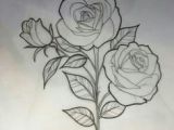 Drawing Of Rose Leaf 29 Best Rose Drawings Images 3 Roses Tattoo Rose Drawings Tattoo