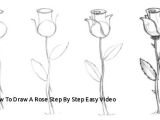 Drawing Of Rose Plant top 25 Step by Step Drawing Flower Farm Steroid