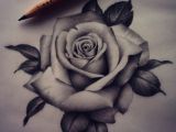 Drawing Of Rose Tattoo Design Pozrite Si Taoto Fotku Na Instagrame Od Poua A Vatea A