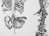 Drawing Of Santan Flower Pin by Anna Mcdermott On Tattoos Drawings Art Art Drawings