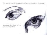 Drawing Of the Eye Anatomy the Art Of Iain Mccaig How to Draw An Eye Anatomy Pinterest