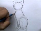 Drawing Out His Wolf Read Online How to Draw A Basic Cat Sitting Youtube