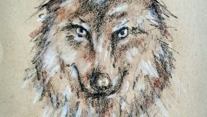 Drawing Pastel Wolf Wolf Drawing In Crayons Art Drawings Crayon Drawings