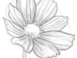Drawing Quick Flowers 100 Best How to Draw Tutorials Flowers Images Drawing Techniques