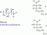Drawing R and S Configurations Stereoisomers