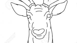 Drawing Reindeer Eyes How to Draw A Deer Head Google Search How to Draw A