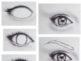 Drawing Round Eyes 14 Best Human Eye Drawing Images Paintings Painting Drawing