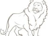 Drawing Simple Cartoon Lion How to Draw A Cartoon Lion Step by Step Drawing Tutorials for Kids