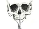 Drawing Skull Model 195 Best Skull Artwork Images Drawings Skull Skull Tattoos