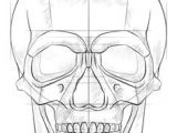 Drawing Skulls for Beginners 61 Best Cool Skull Drawings Images Skull Tattoos Skulls Skull