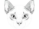 Drawing the Face Of A Cat How to Draw Animals Cats and their Anatomy Tuts Design