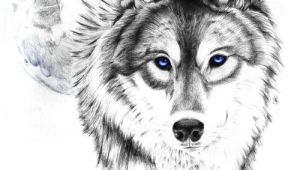 Drawing Tumblr Wolf Wolf Tattoo Tumblr Love This Wolf and Moon the Eyes though I
