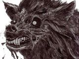 Drawing Zombie Wolf 75 Best Werefoot Images Wolves Wolf Bones