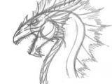 Drawings Of Dragons for Beginners 47 Best Drawing Dragons Images