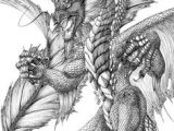 Drawings Of European Dragons 968 Best Dragon Drawings Images Mandalas Coloring Books
