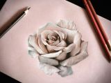 Drawings Of Flowers 3d 25 Beautiful Rose Drawings and Paintings for Your Inspiration