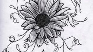 Drawings Of Flowers 3d 65 Best Drawing Flowers Images Coloring Pages Draw Flower Designs