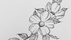 Drawings Of Flowers Blooming Wild Flower Wednesdays Rho In 2019 Drawings Art Art Drawings