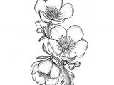 Drawings Of Flowers On Pinterest Custom buttercup Illustration Tattoo for Greer by themintgardener