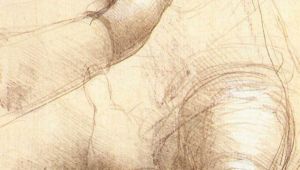 Drawings Of Hands by Famous Artists Leonardo Da Vinci S Study Of Hands