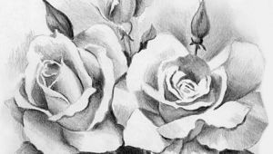 Drawings Of Roses and Crosses Step by Step Beautiful Sketches Of Flowers Beautiful Rose Flower Bouquet