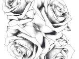 Drawings Of Roses Black and White Best 21 Black and White Flower Drawing Fabio Bortolani