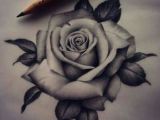 Drawings Of Roses Tattoos Pin by Cynthia Shea On Flowers Pinterest Rose Tattoos Tattoos