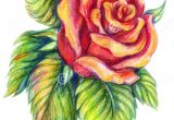 Drawings Of Roses to Print 25 Beautiful Rose Drawings and Paintings for Your Inspiration