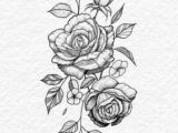 Drawings Of Small Roses Pin by Park Mim On Tattoo Pinterest Tattoos Flower Tattoos and