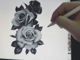 Drawings Of Three Roses 41 Best Black and White Roses Images Pencil Drawings Paintings