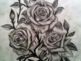 Drawings Of Three Roses 55 Best Rose Tattoos Designs Best Tattoos for Women Ink Love 33