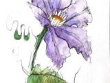 Drawings Of Trumpet Flowers 6885 Best Wc Flowers Images In 2019 Flower Watercolor