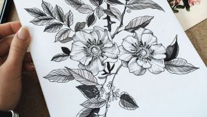Drawings Of Wild Roses Familyinktattoo Wild Roses Tattooskech Body Modification