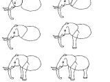 Easy Drawing Ear Learn to Draw A Real Elephant Step by Step Http Profotolib Com