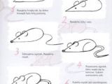 Easy Drawing for 14 Year Olds 56 Best Stey by Step Drawing Tutorials for Kids Images Drawing