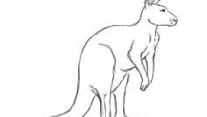 Easy Drawing Kangaroo 36 Best Kangaroos Images Drawings Kangaroo Drawing Character Design