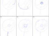 Easy Drawing Lessons Step by Step How to Draw Poppy Flower Printable Drawing Sheet by
