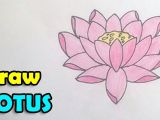 Easy Drawing Lotus How to Draw Lotus Flower Step by Step Easy In This Video We are