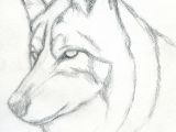 Easy Drawing Of A Dog Head How to Draw A Wolf Head Mexican Wolf Step 3 Drawings Pinterest