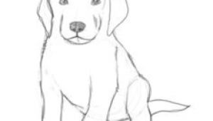 Easy Drawing Of A Dog How to Draw A Puppy Drawing Drawings Puppy Drawing Sketches