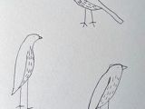 Easy Drawing Of Uttarayan 306 Best Drawing Birds Images Pencil Drawings Bird Drawings