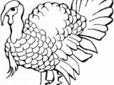 Easy Drawings Of Turkeys 34 Best Turkey Images Coloring Pages Colouring Pages Printable