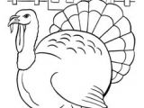 Easy Drawings Of Turkeys 8 Best Turkey Images Bing Images Easy Drawings Turkey Cartoon