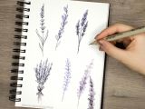 Easy Hope Drawings Just Uploaded A Doodle Tutorial On Drawing Cute Lil Lavender Flowers
