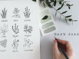 Easy Leaf Drawing Shayda Campbell Youtube In 2019 Drawings Leaf Drawing