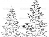 Easy Pine Tree Drawing Pine Tree Drawings Black and White Tree Drawings Pencil