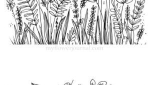 Easy Plant Drawing Botanical Line Drawings and Doodles Easy Doodle Art